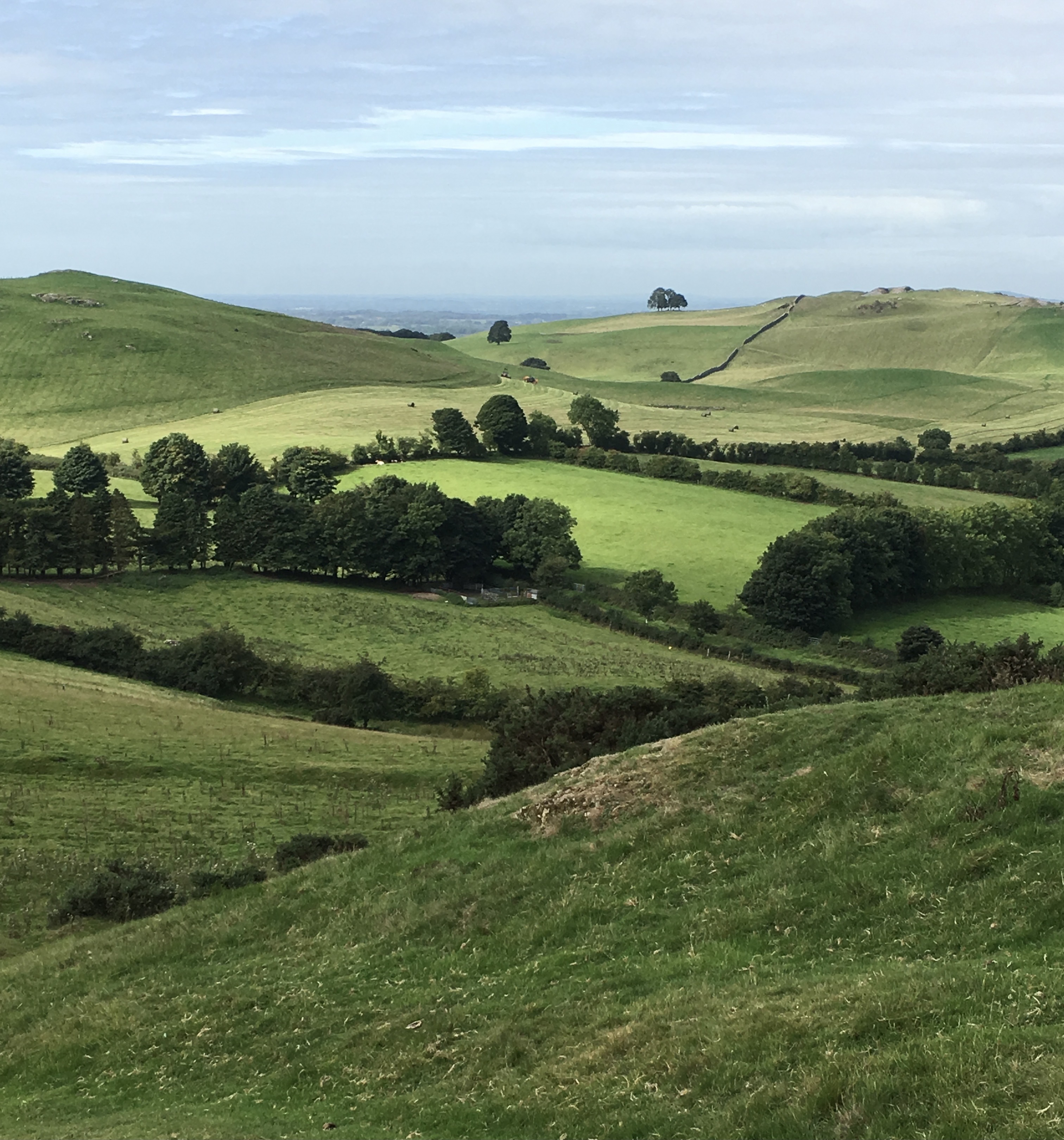 Changing the Gallery Wall