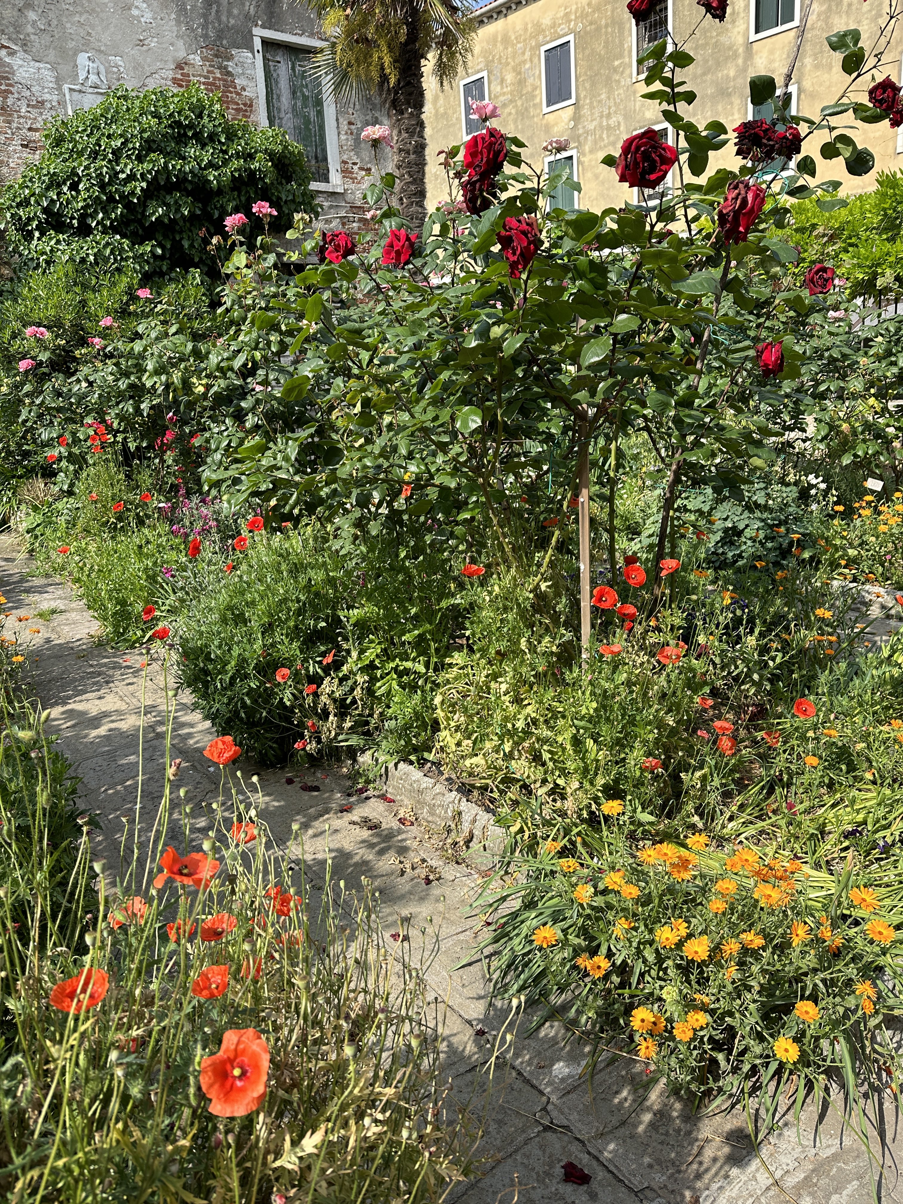 Garden in a Churchyard