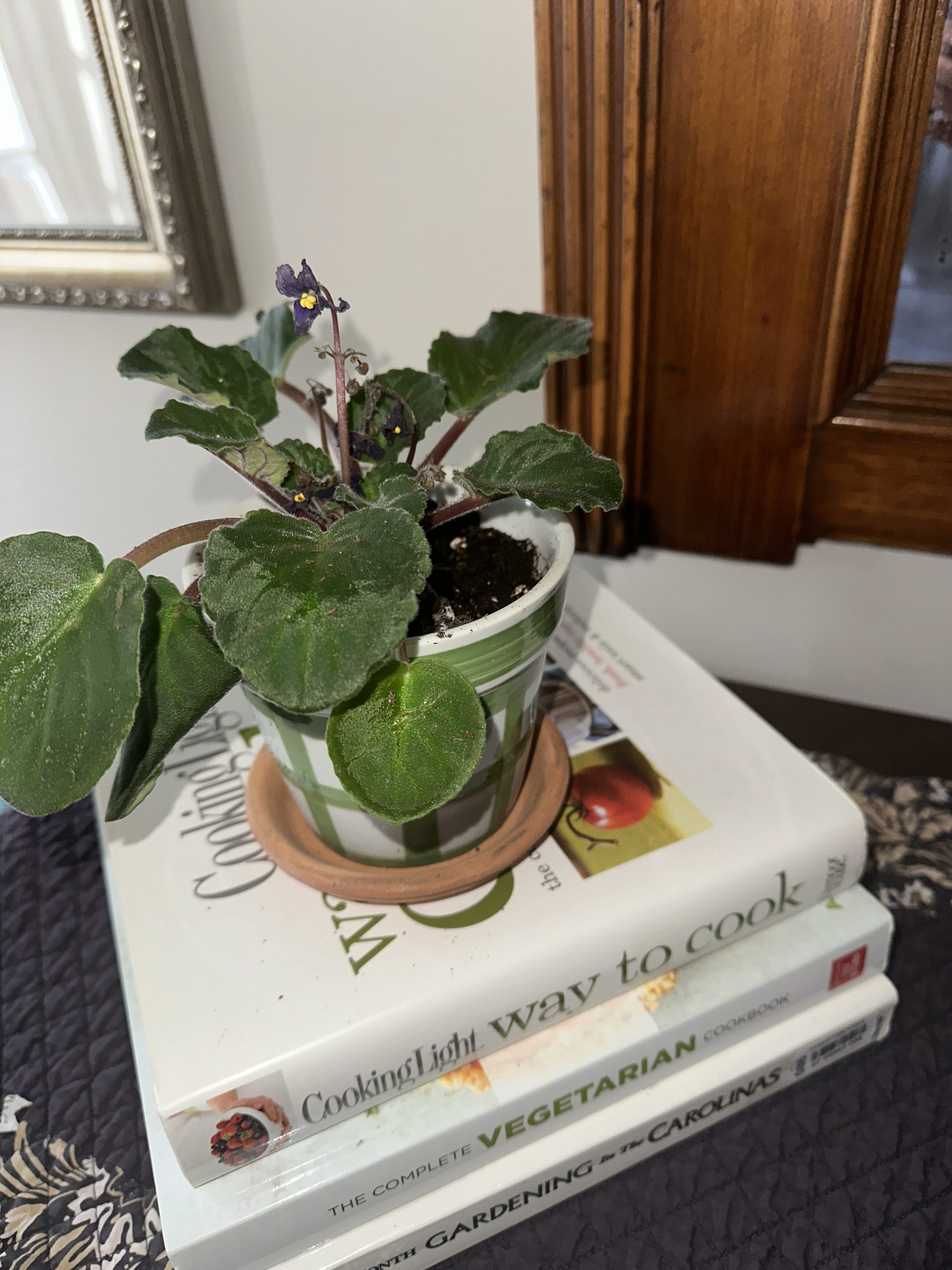 Looking to Spring Entranceway