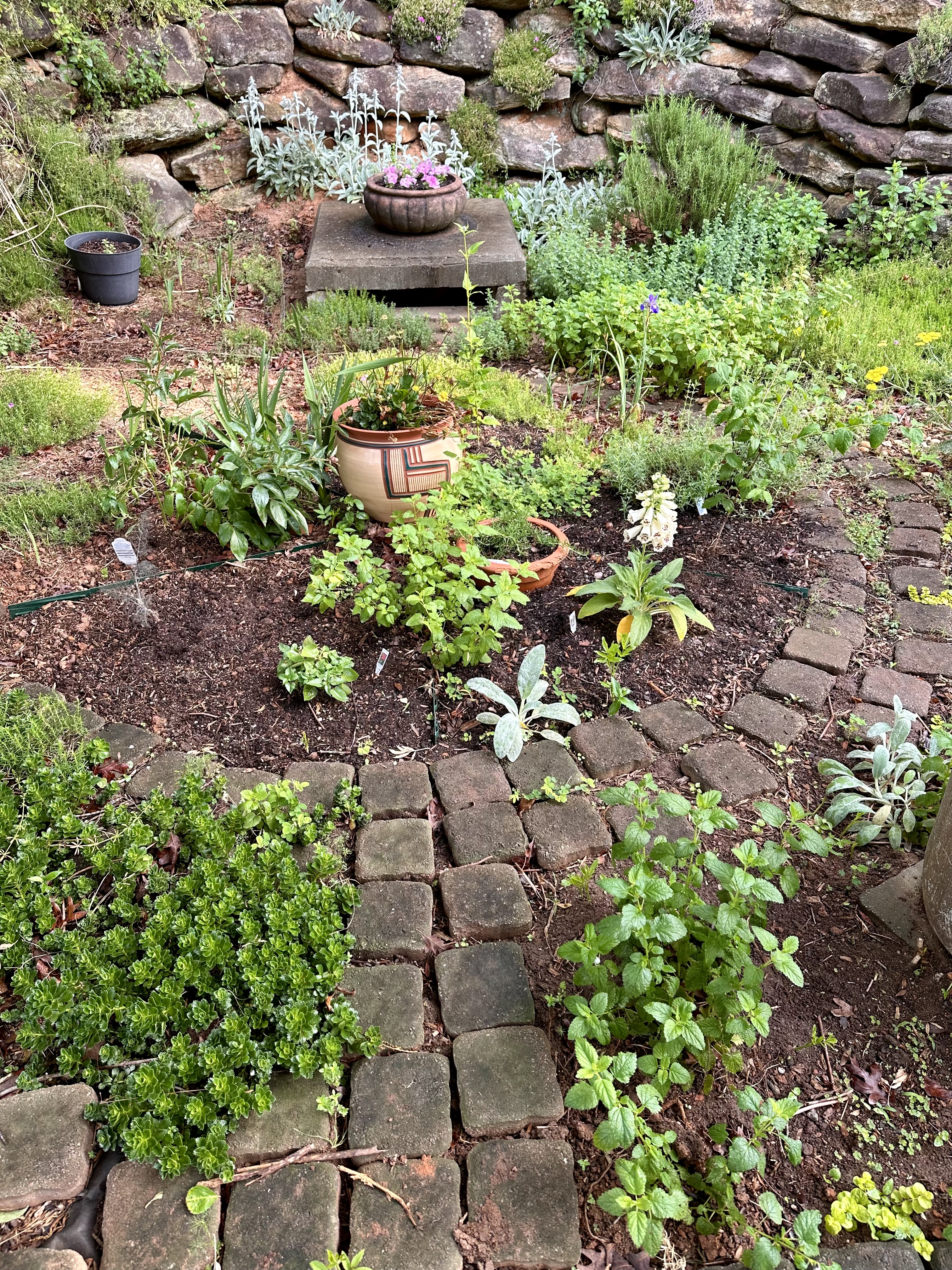 The Herb Garden