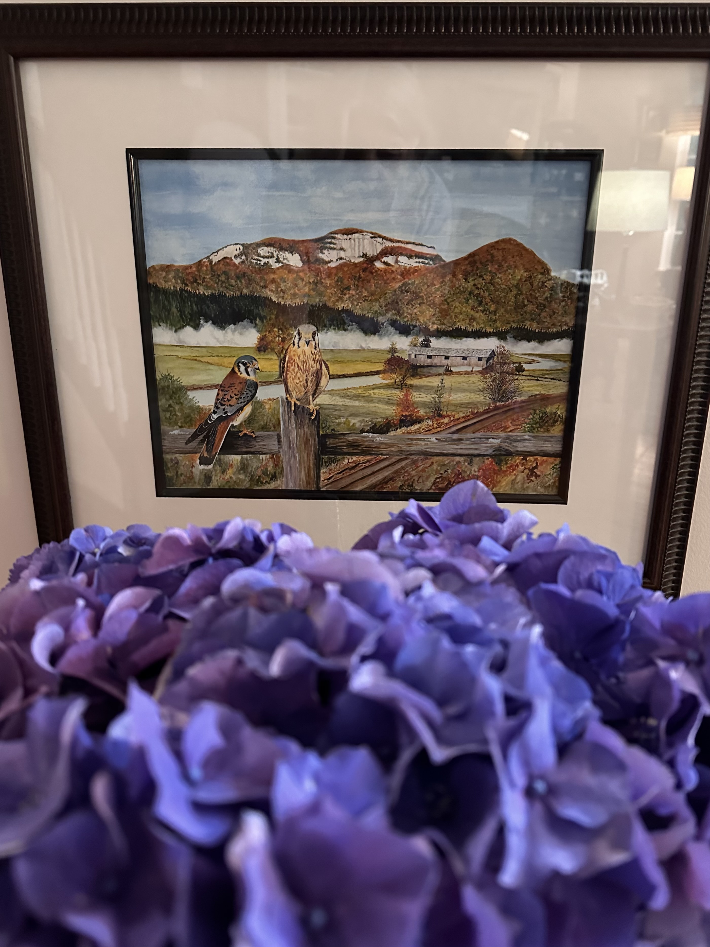 All About Thrifted Picture Frames