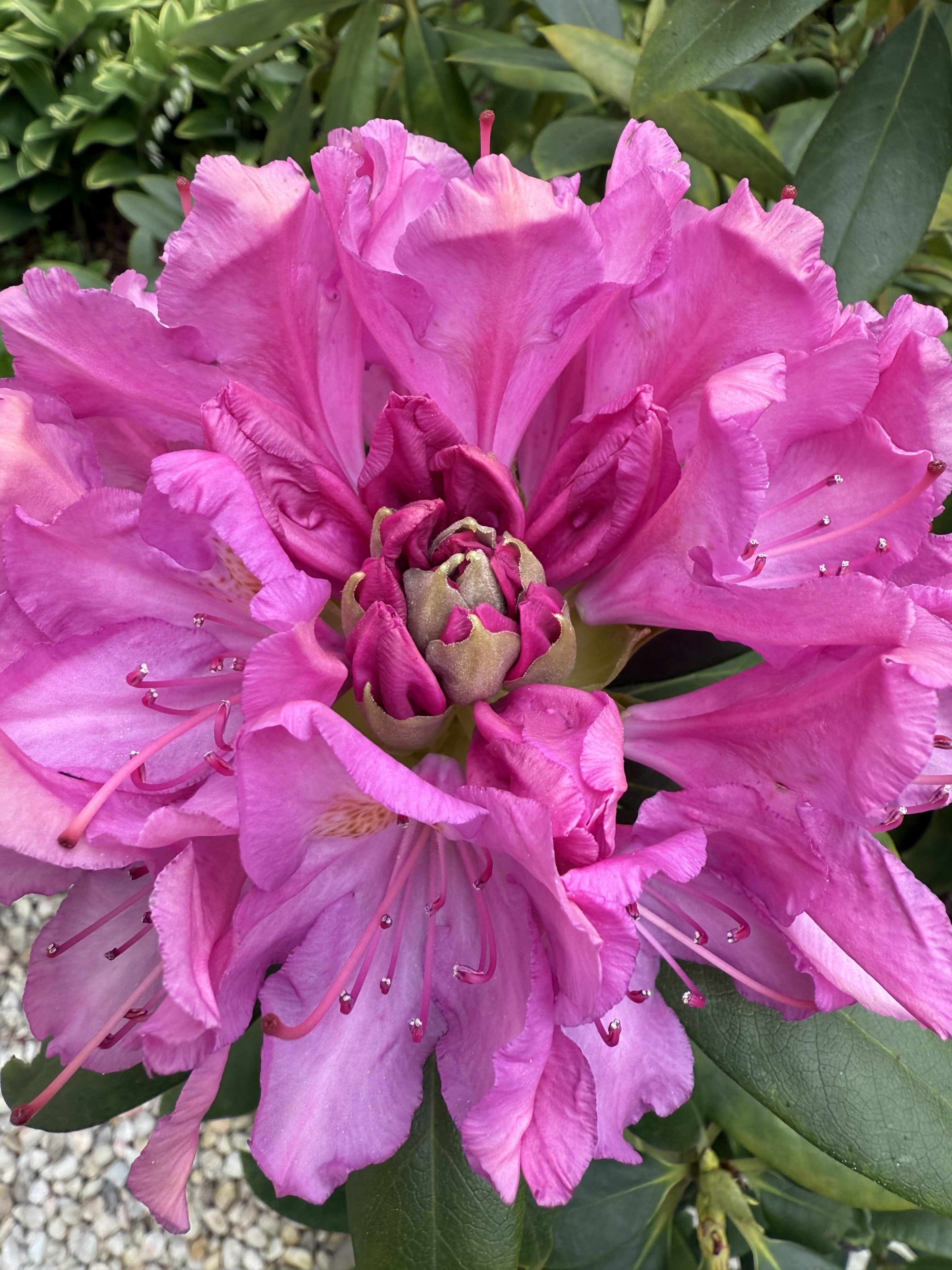 Nurturing Nature: A Gardening Journey