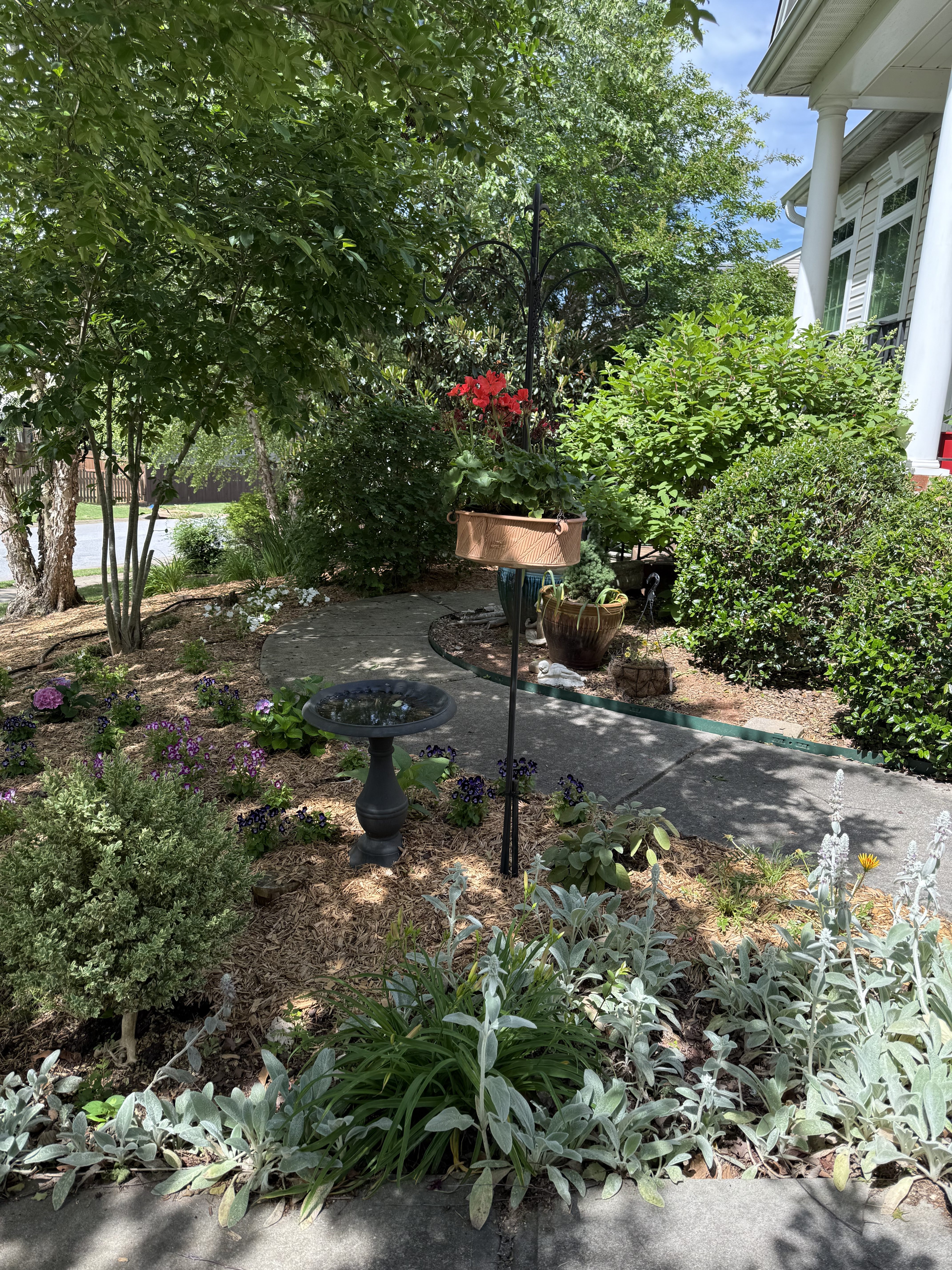 Creating a Welcoming Front Yard: Plants and Design Ideas