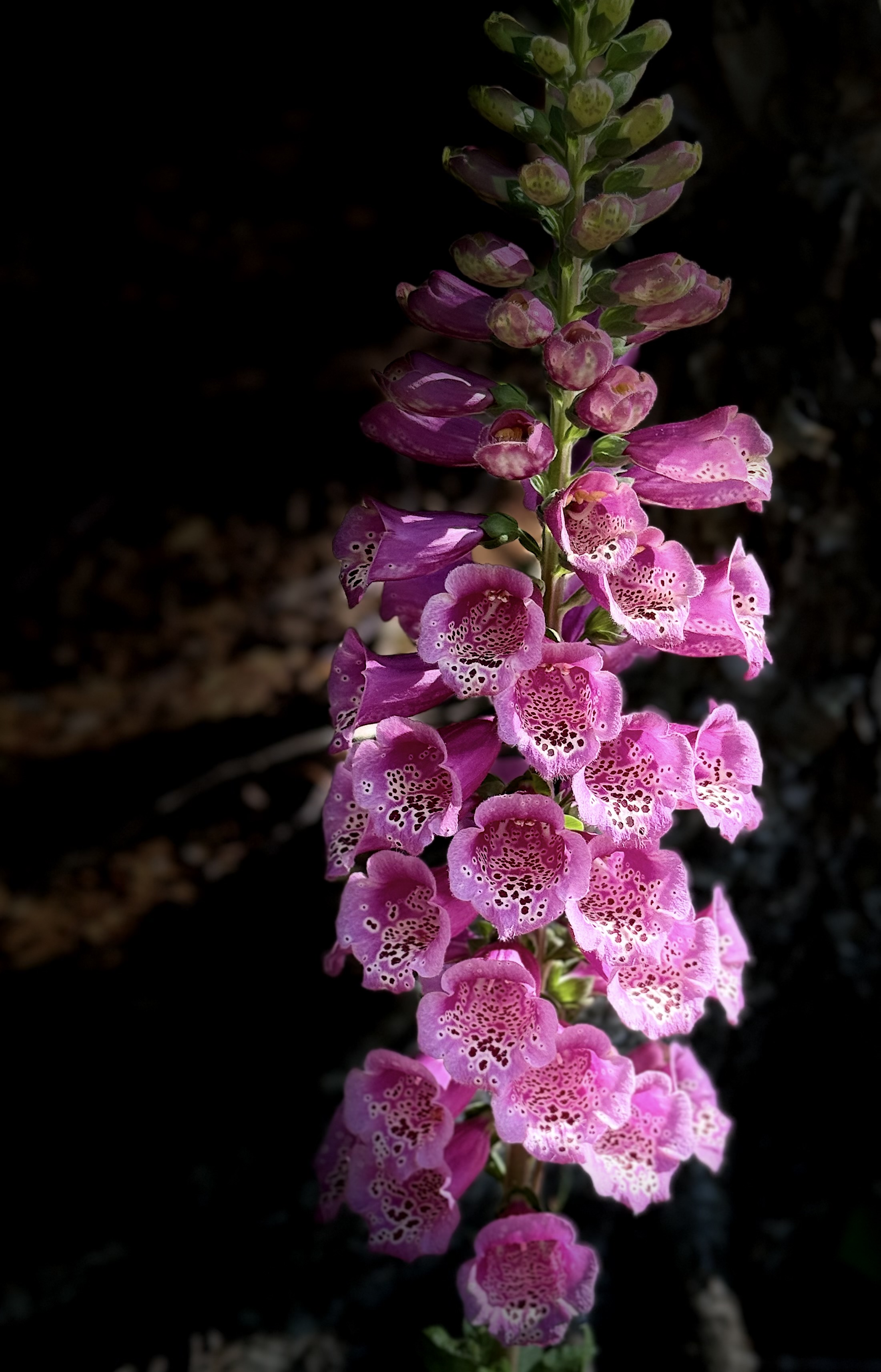 Unlocking Everyday Creativity