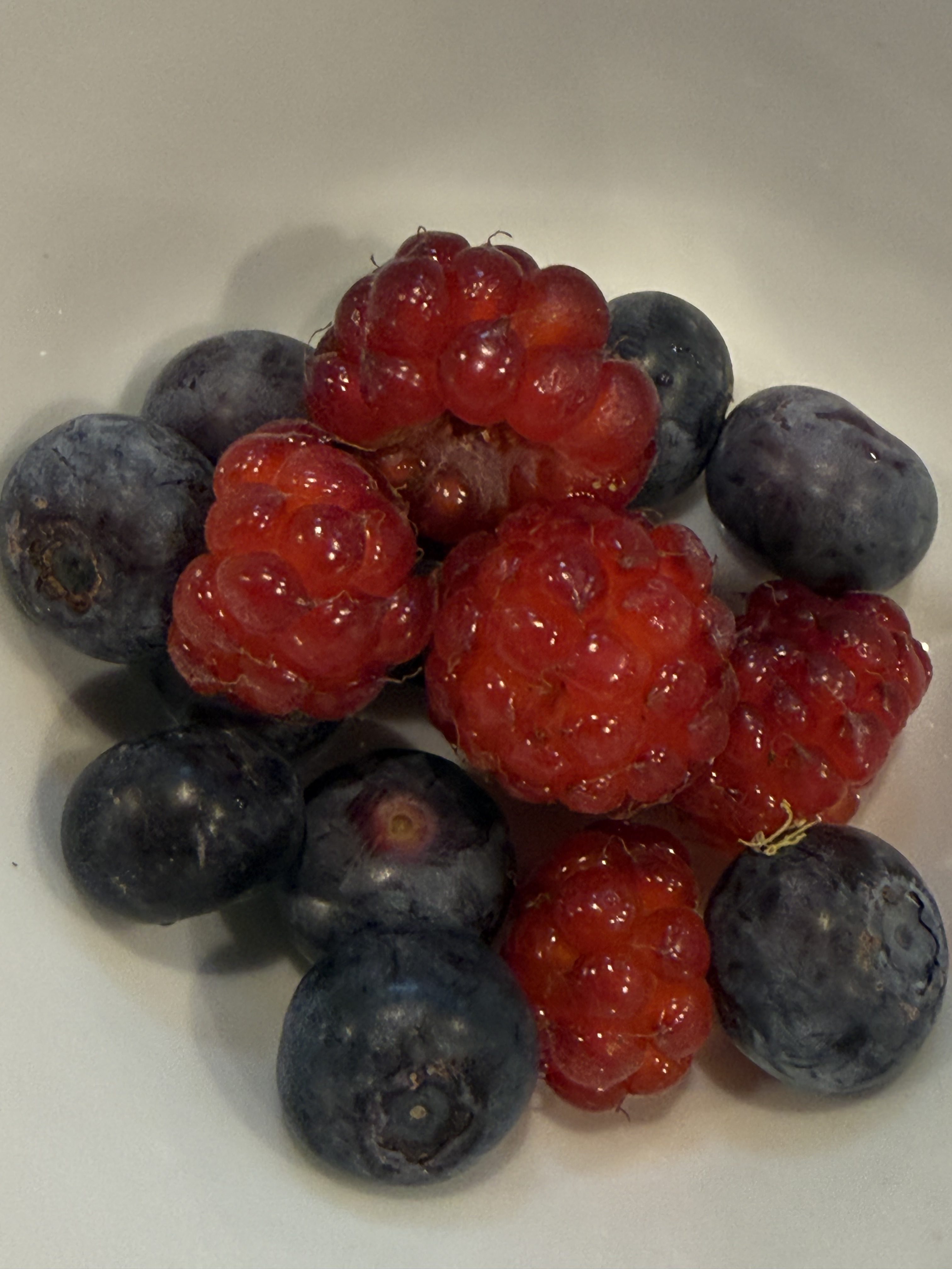The Joys of Early Summer Harvests in the Garden